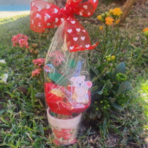 Cute Bear & Candy Mug With Candy