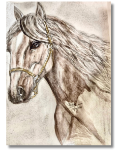 "Chance the Horse" Acrilico sobre lienzo 20.34 x 25.5cm