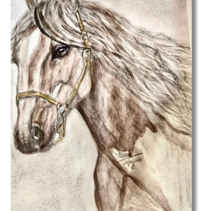 "Chance the Horse" Acrilico sobre lienzo 20.34 x 25.5cm